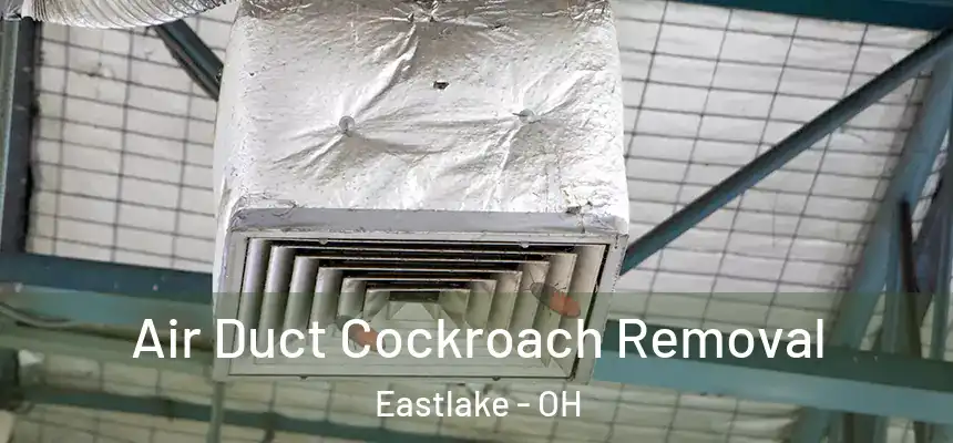 Air Duct Cockroach Removal Eastlake - OH