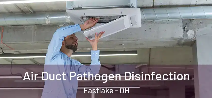 Air Duct Pathogen Disinfection Eastlake - OH