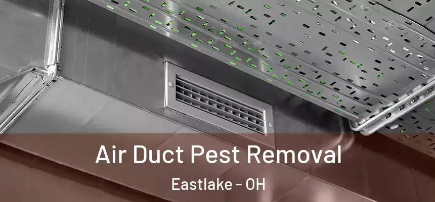  Air Duct Pest Removal Eastlake - OH