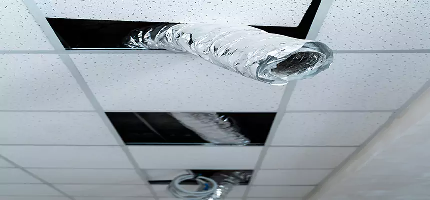 Our Air Duct Pet Hair Removal Services in Eastlake, OH