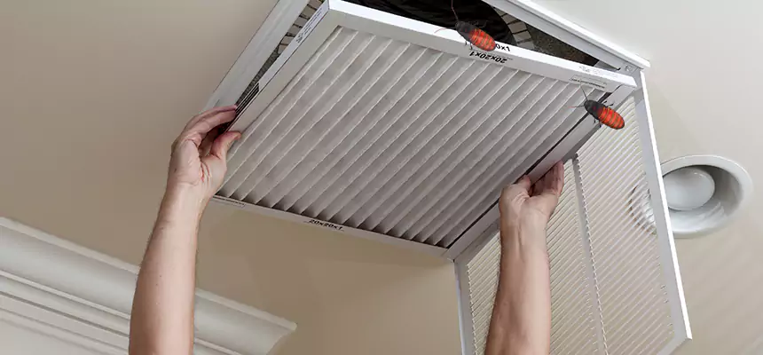 Our Insect Removal from Air Ducts Services in Eastlake, OH