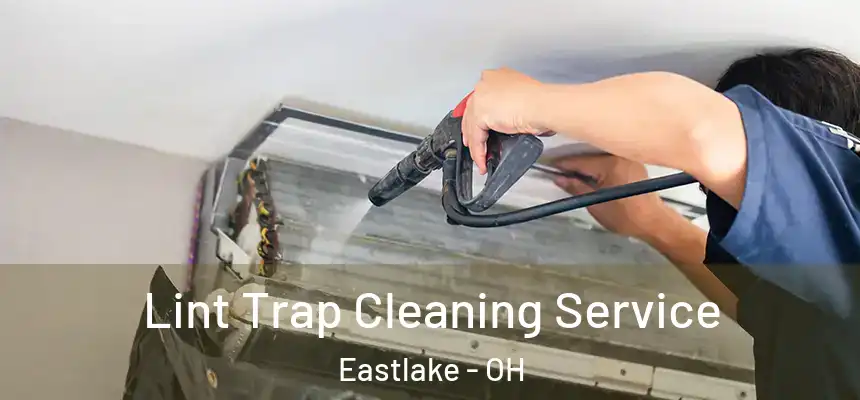 Lint Trap Cleaning Service Eastlake - OH