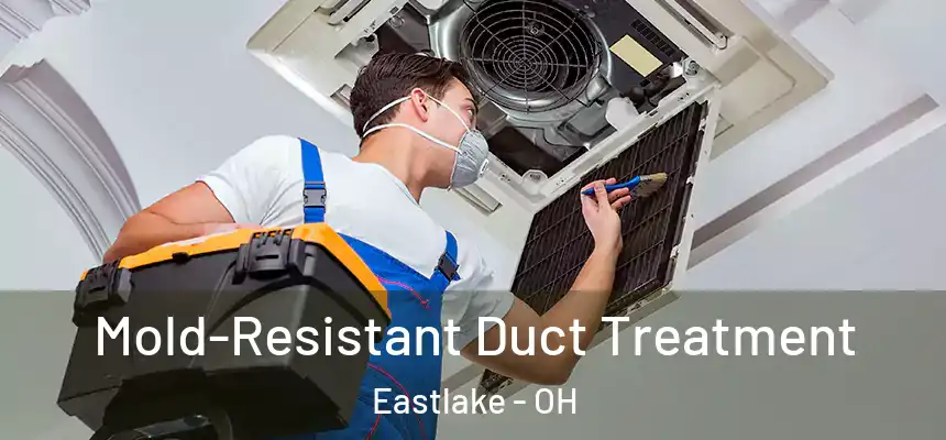 Mold-Resistant Duct Treatment Eastlake - OH