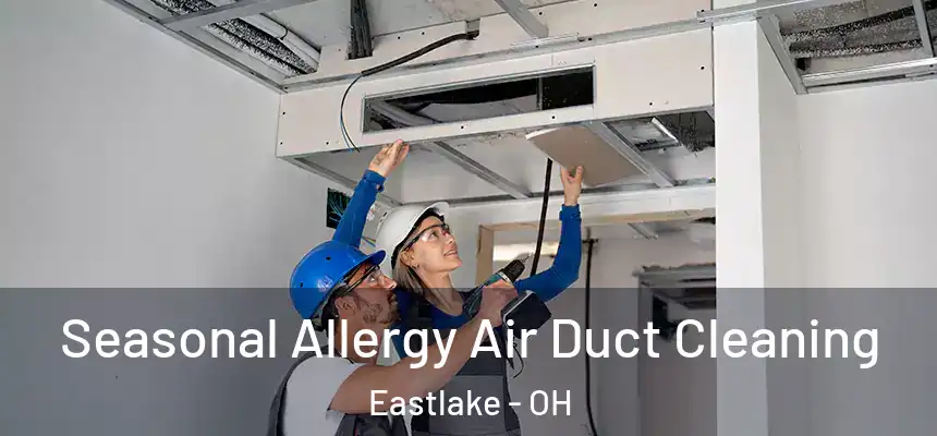  Seasonal Allergy Air Duct Cleaning Eastlake - OH