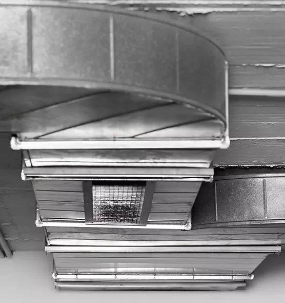 Professional Air Duct Pet Hair Removal in Eastlake, OH