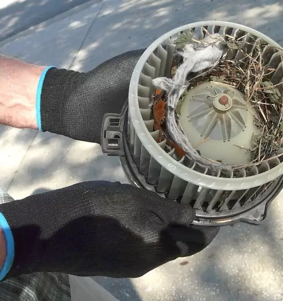 About Air Duct Rat Removal in Eastlake, OH