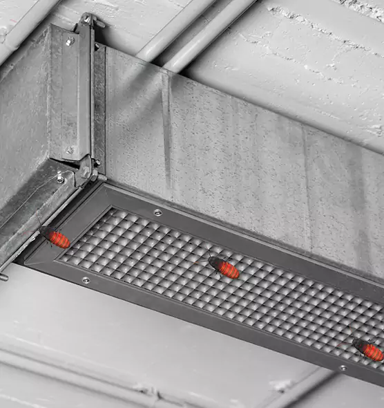 Affordable Insect Removal from Air Ducts in Eastlake, OH