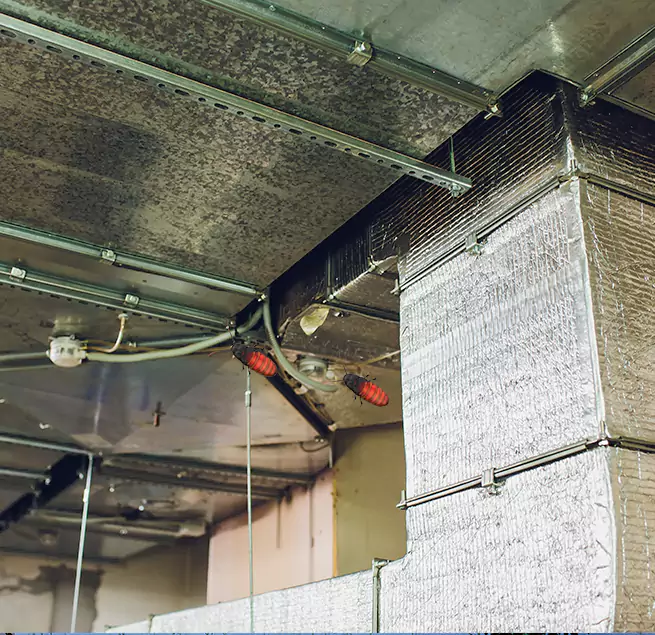 Why Homeowners & Businesses Trust Us in Eastlake, OH?